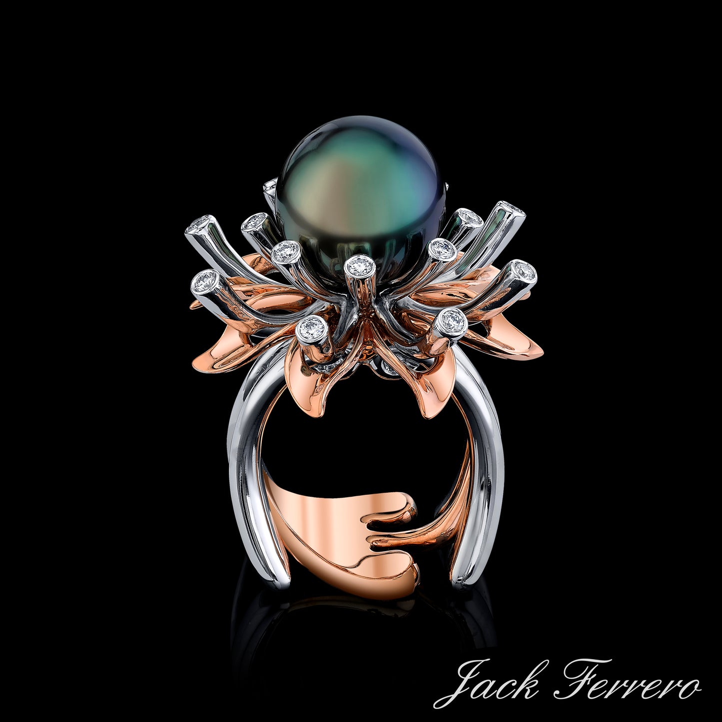 Peacock Pearl Gleam