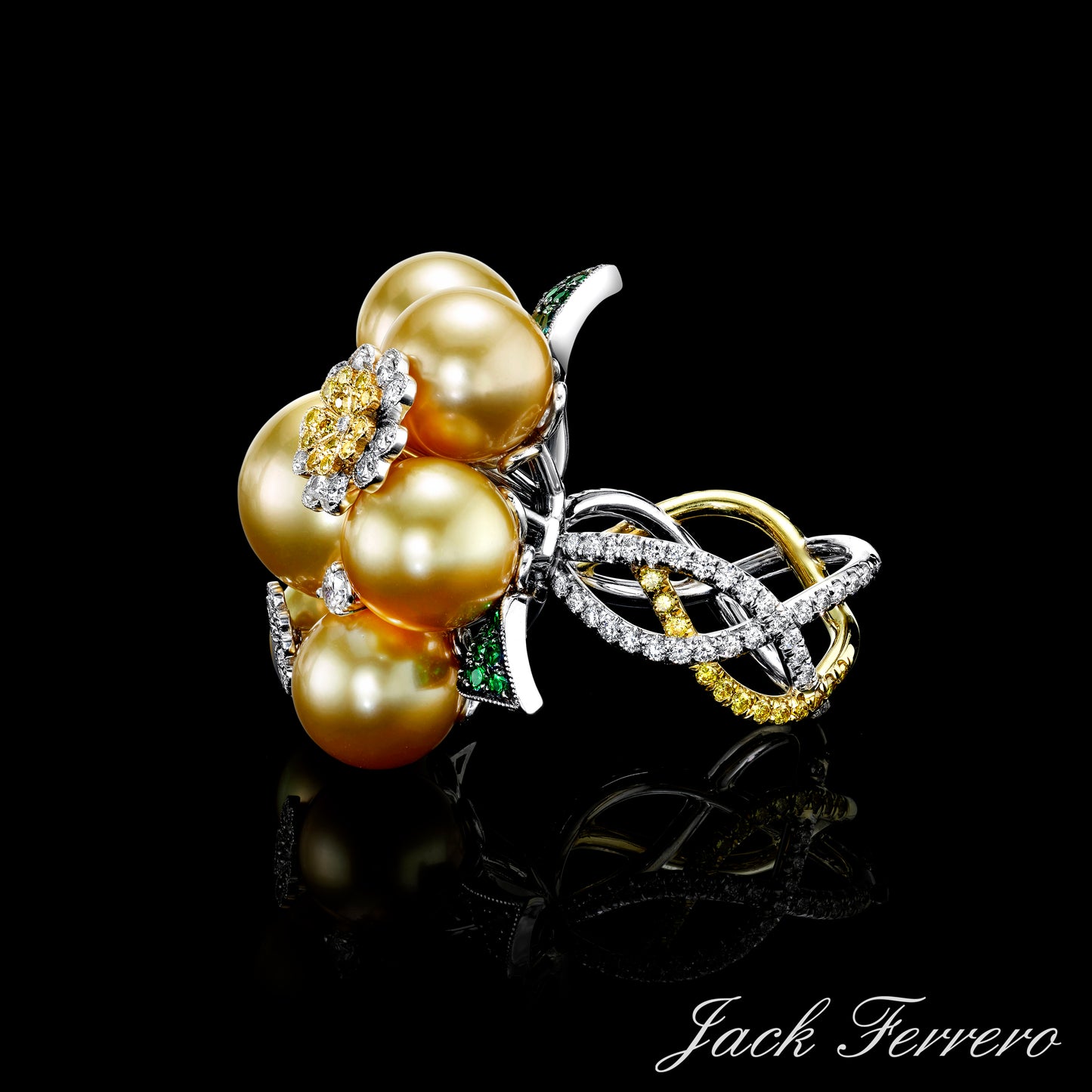 Golden Pearlflower